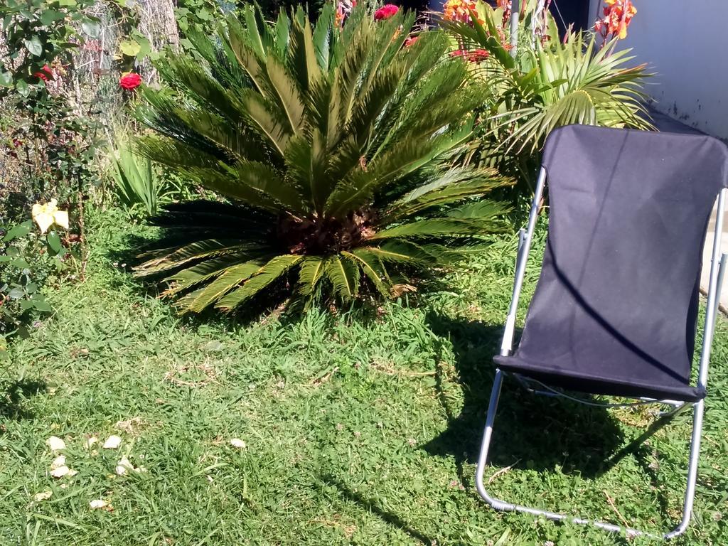 Canto Da Manu Estreito Da Calheta Exteriör bild